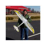 E-flite Conscendo Evolution 1.5m SAFE Select BNF Basic