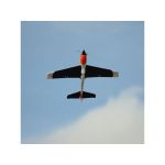 E-flite V900 0.9m SAFE Select BNF Basic