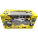 NINCORACERS Overlander Teneré 1:14 2.4GHz RTR