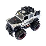 NINCORACERS Overlander Teneré 1:14 2.4GHz RTR