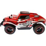 NINCORACERS ION+ 1:18 2.4GHz RTR