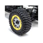 Losi DBXL 2.0 1:5 4WD RTR Magnaflow