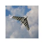 E-flite Opterra 2.0m SAFE Select BNF Basic