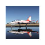 E-flite Viper 1.4m SAFE Select BNF Basic